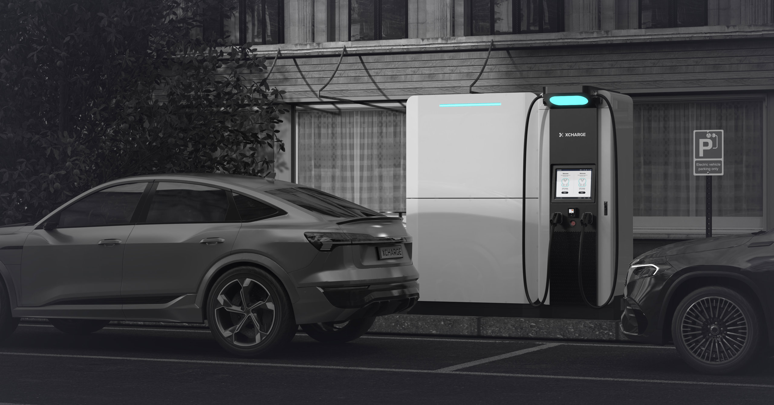NZS in City Black White.jpg